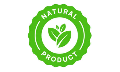 Fast Brain Booster natural