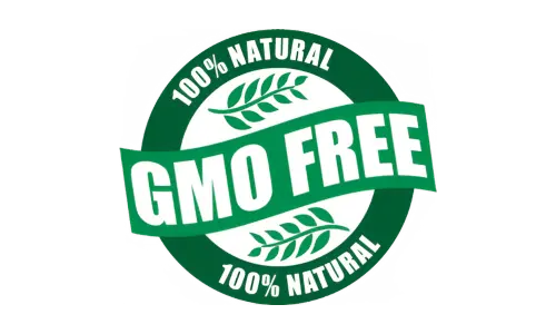 Fast Brain Booster  GMO Free